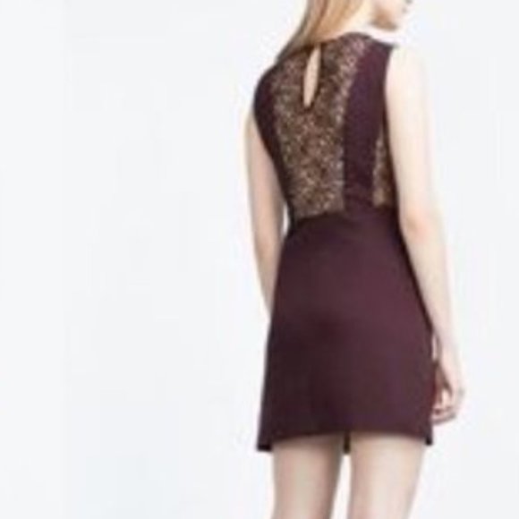 Zara Trafaluc Plum Purple Lace Mini Dress - Picture 5 of 13